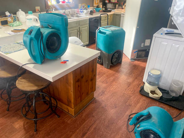 Best Professional water damage repair  in Factoryville, PA
