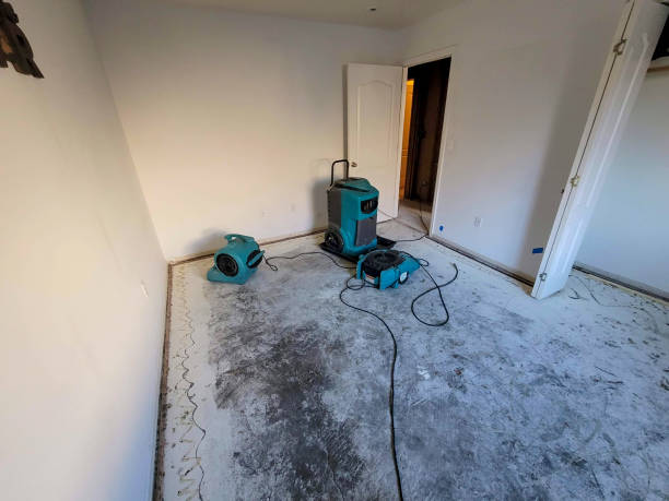 Best Water damage restoration near me  in Factoryville, PA