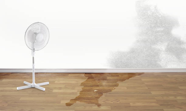 Best Ceiling water damage repair  in Factoryville, PA