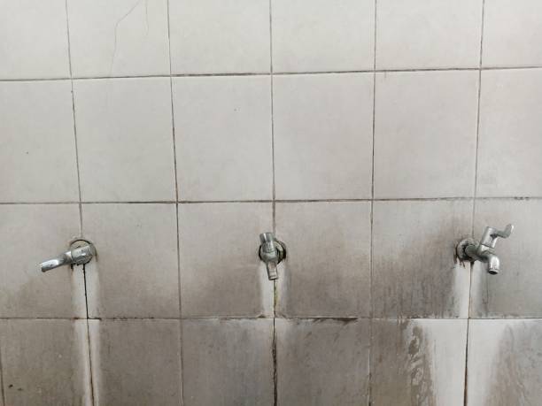 Best Local water damage restoration  in Factoryville, PA