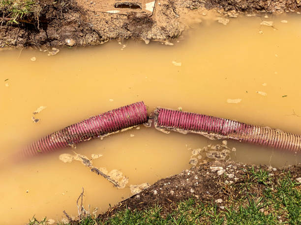 Best Flood restoration services  in Factoryville, PA