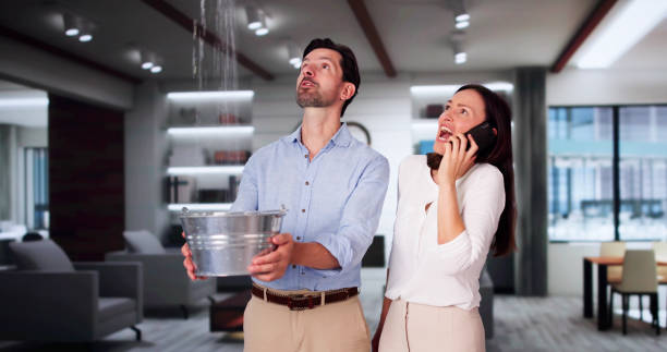 Best Fire Damage Restoration  in Factoryville, PA