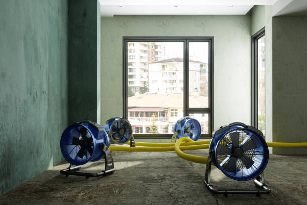 Best Professional water damage repair  in Factoryville, PA